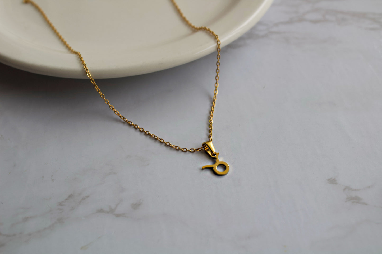 Zodiac Sign Necklace