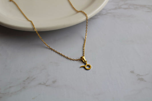 Zodiac Sign Necklace