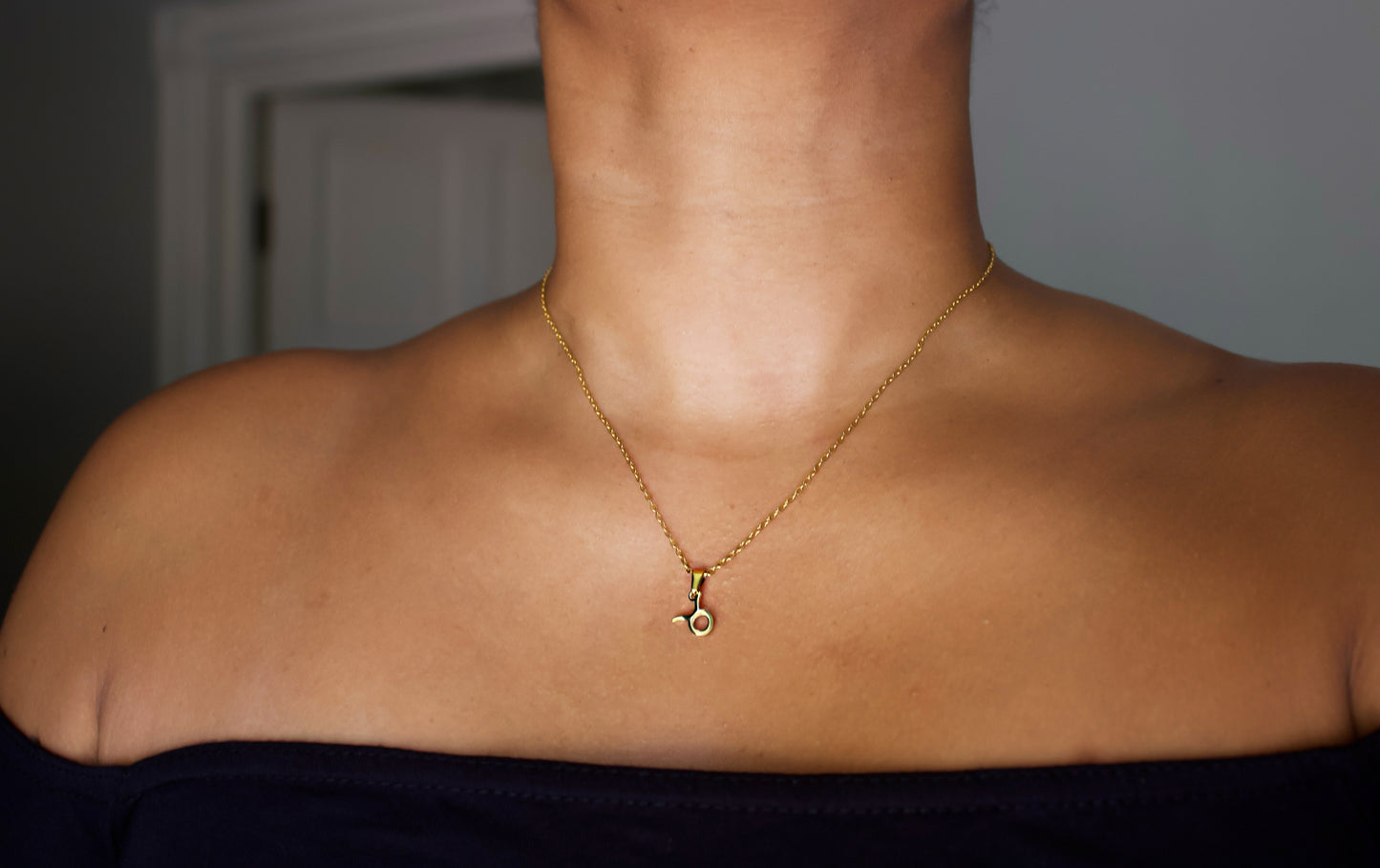 Zodiac Sign Necklace